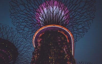 How to Elevate Your Business with Brand Marketing in Singapore